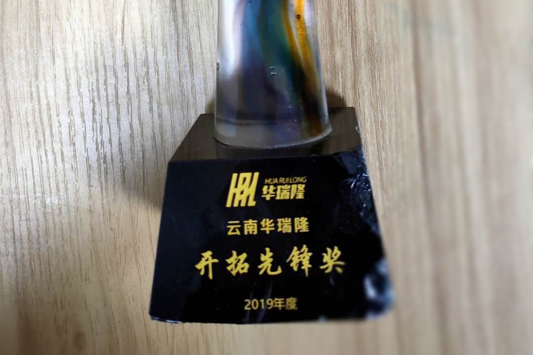 开拓先锋奖